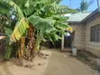 Furnished 5 Bedroom House for Sale in Maili Mmoja - 2