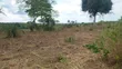 Commercial Land for Sale/Rent, Bagamoyo - 4