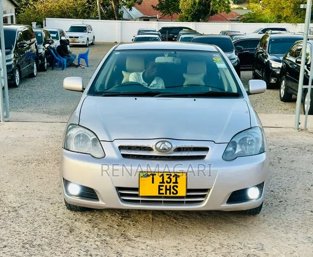 Toyota Corolla RunX 2006 Silver - 1