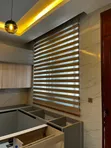 Zebra Blind - 2