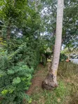 Nyumba ya Vyumba 5 vya Kulala Kawe, Prime Property - 1