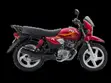 New TVS HLX 150X Motorcycle (2019) - 2