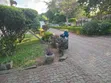 5 Bedroom House for Rent in Masaki with Sea View - 4