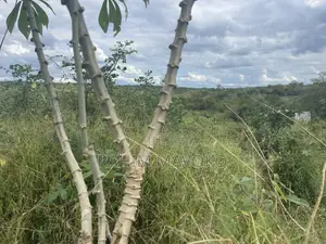 Farmland for Sale - Miono, 200 Hectares