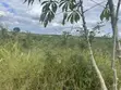 Farmland for Sale - Miono, 200 Hectares - 2
