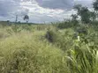 Farmland for Sale - Miono, 200 Hectares - 3