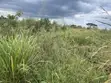 Farmland for Sale - Miono, 200 Hectares - 4