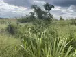 Farmland for Sale - Miono, 200 Hectares - 5