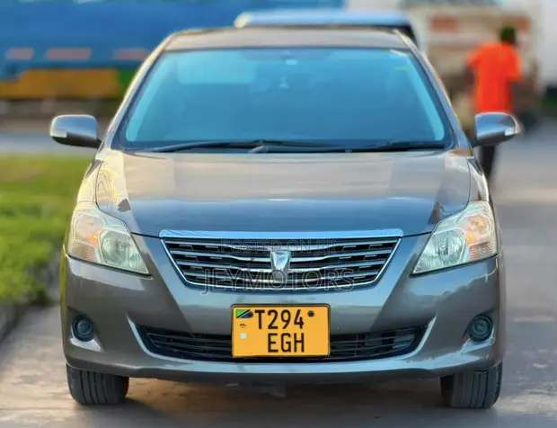 Toyota Premio 2009 Gray - 1