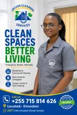 Carpet, Curtain & Sofa Cleaning Services - 1