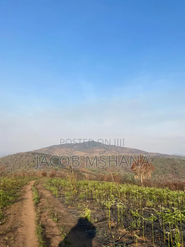 1000 Acre Farm for Sale in Ifunda, Iringa - 1