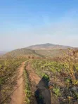 1000 Acre Farm for Sale in Ifunda, Iringa - 2