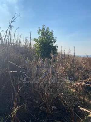 800 Acres Farmland for Sale in Kilolo, Iringa