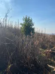 Shamba la Eka 800 Linauzwa Kilolo, Iringa - 1