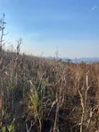 Shamba la Eka 800 Linauzwa Kilolo, Iringa - 2