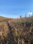 Shamba la Eka 800 Linauzwa Kilolo, Iringa - 3