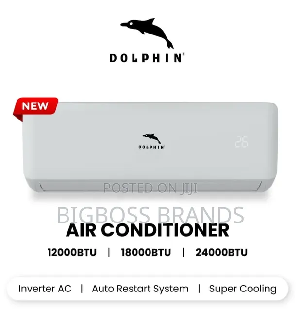 Dolphin 24000 BTU Split Inverter Air Conditioner - 1