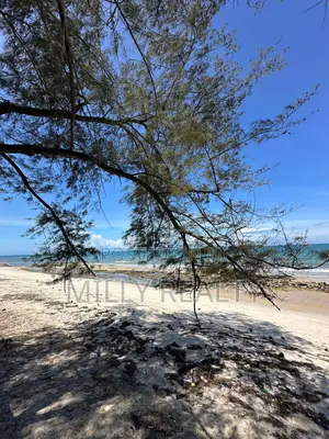 Prime 1 Acre Beach Plot for Sale, Bahari Beach