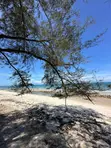 Prime 1 Acre Beach Plot for Sale, Bahari Beach - 2