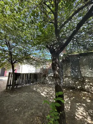 Plot for Sale Mikocheni Near Shoppers Plaza - TZS 450M