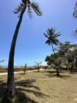 Kiwanja cha Beachfront kwa Mauzo, Mbezi Beach Rainbow - 3
