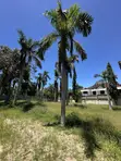 2,509 SQM Beach Plot for Sale Mbezi Beach Kwa Zena - 1