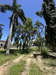 2,509 SQM Beach Plot for Sale Mbezi Beach Kwa Zena - 3