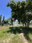 2,509 SQM Beach Plot for Sale Mbezi Beach Kwa Zena - 4