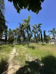 2,509 SQM Beach Plot for Sale Mbezi Beach Kwa Zena - 5