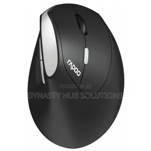 Rapoo EV250 Silent Wireless Vertical Ergonomic Mouse