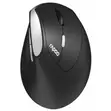 Rapoo EV250 Silent Wireless Vertical Ergonomic Mouse - 1