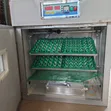 Automatic Egg Incubator Machines - 1