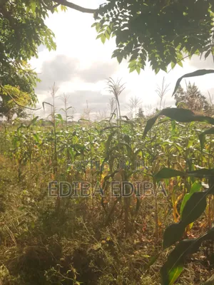 6200 SQM Plot for Sale at Njiro