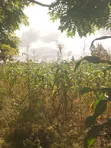 6200 SQM Plot for Sale at Njiro - 1