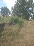 6200 SQM Plot for Sale at Njiro - 3