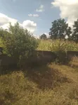 6200 SQM Plot for Sale at Njiro - 4