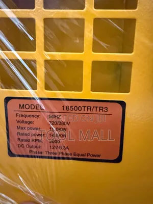 Japan Power 18500TR Dizeli Generator