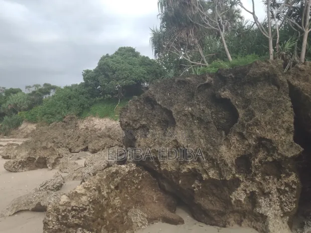 45 Acres Titled Beach Plot for Sale in Pangani, Tanga - 1