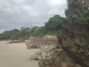 45 Acres Titled Beach Plot for Sale in Pangani, Tanga