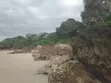45 Acres Titled Beach Plot for Sale in Pangani, Tanga - 4