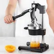 Manual Orange Squeezer / Press - 2