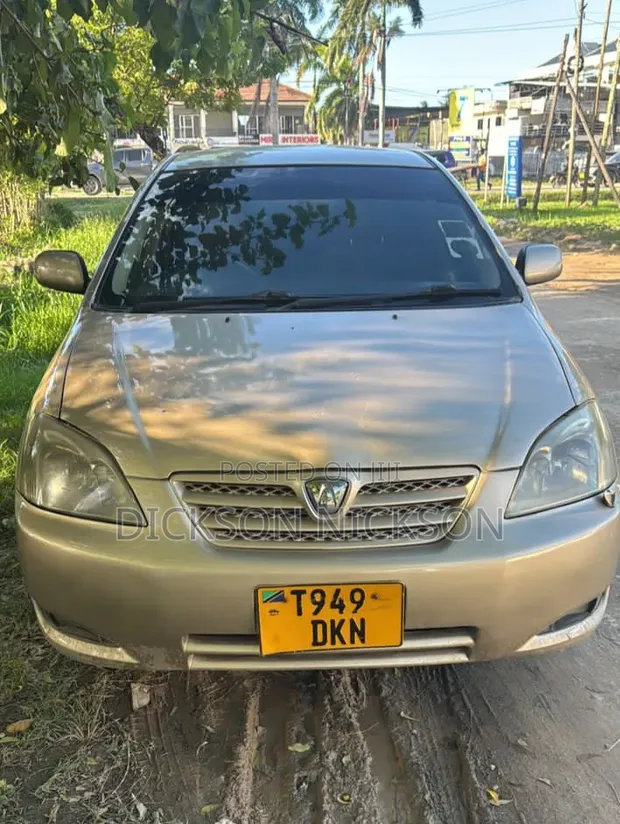 Toyota Corolla RunX 2005 Gold - 1