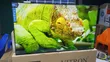 Vitron 55 Inch 4K UHD Smart TV - 4