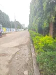 Residential Plot for Sale, Oysterbay Guinea Road - 2