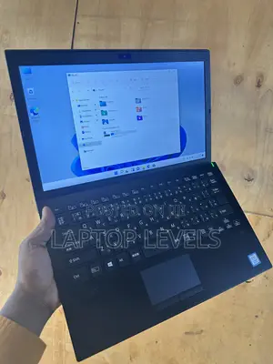 Sony VAIO E11125CN Laptop - 16GB RAM, 256GB SSD