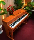 Brand New Digital Piano - 88 Weighted Keys - 1
