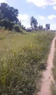 Industrial Plot for Sale - Misugusugu, Kibaha - 5