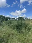 450sqm Plot for Sale in Kigamboni, Mbutu Kichangani - 1