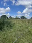 450sqm Plot for Sale in Kigamboni, Mbutu Kichangani - 2