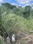 450sqm Plot for Sale in Kigamboni, Mbutu Kichangani - 3